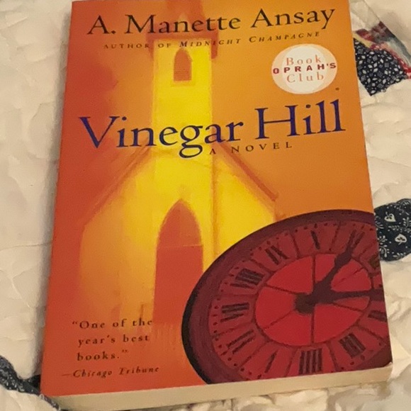 SOLD==Vinegar Hill. A Novel. A. Manette Ansay - Picture 2 of 8